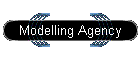 Modelling Agency
